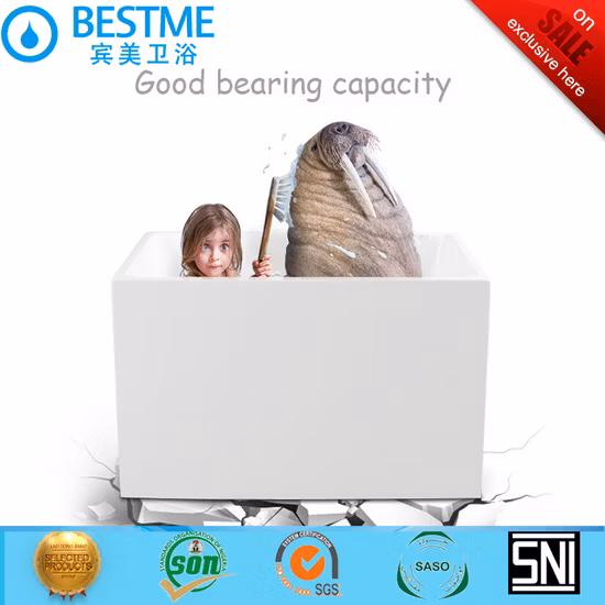 Wholesale Price White Color Small Size Simple Art Bathtub (BT